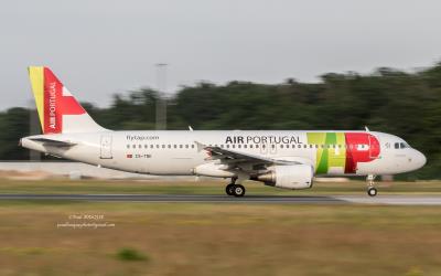 Image of aircraft registration CS-TNK - A A320-214 operated by TAP - Air Portugal