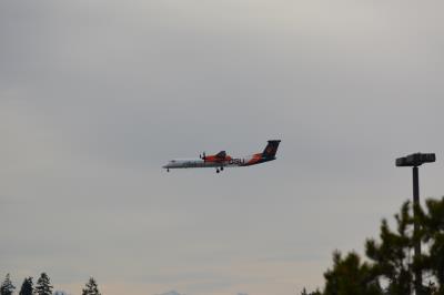 Photo of aircraft N440QX operated by Horizon Air