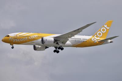 Photo of aircraft 9V-OFI operated by Scoot