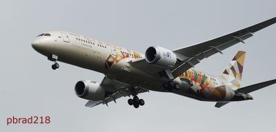 Image of aircraft registration A6-BLT - A 787-9 Dreamliner operated by Etihad Airways