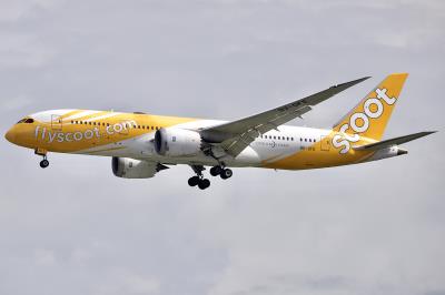 Photo of aircraft 9V-OFE operated by Scoot