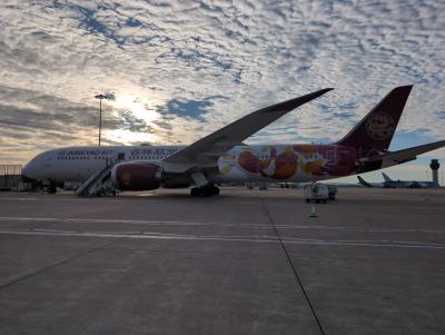 Photo of aircraft B-20EQ operated by Juneyao Airlines