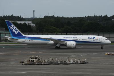 Photo of aircraft JA882A operated by ANA All Nippon Airways