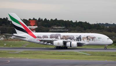 Image of aircraft registration A6-EEQ - A A380-861 operated by Emirates