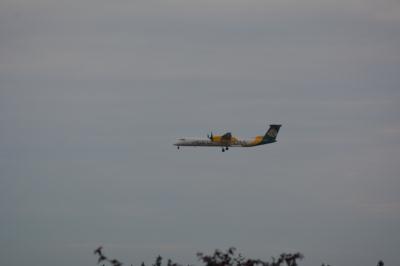 Image of aircraft registration N443QX - A DHC-8-402NG operated by Horizon Air