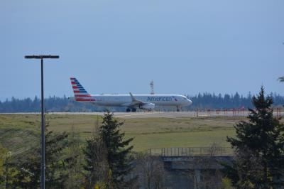 Photo of aircraft N136AN operated by American Airlines