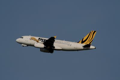 Photo of aircraft 9V-TRB operated by Tigerair