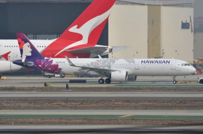 Photo of aircraft N223HA operated by Hawaiian Airlines