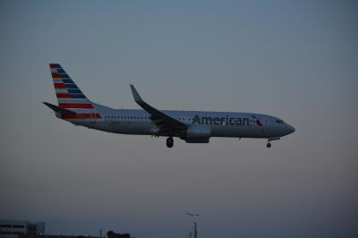 Image of aircraft registration N981AN - A 737-823(WL) operated by American Airlines