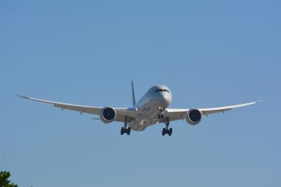 Image of aircraft registration N839AA - A 787-9 Dreamliner operated by American Airlines