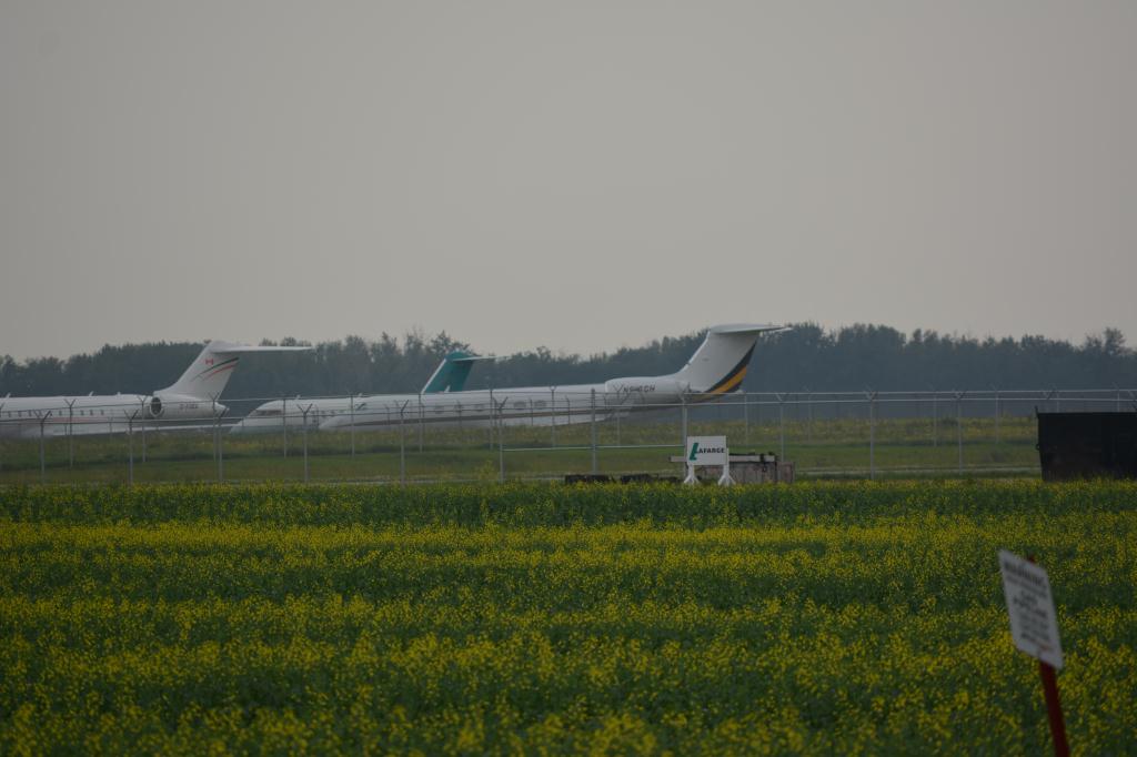 Photo of aircraft N516GH operated by Sentient Flight Group LLC-MDL Consulting Associates LLC