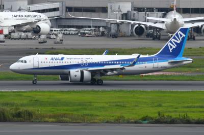 Photo of aircraft JA222A operated by ANA All Nippon Airways