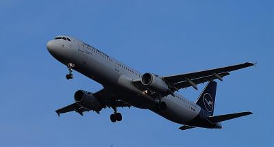 Image of aircraft registration D-AIDH - A A321-231 operated by Lufthansa