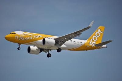 Photo of aircraft 9V-TNB operated by Scoot