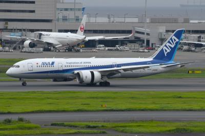 Photo of aircraft JA810A operated by ANA All Nippon Airways