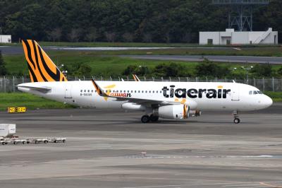 Photo of aircraft B-50005 operated by Tigerair Taiwan