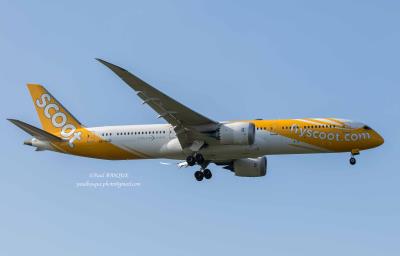 Photo of aircraft 9V-OJD operated by Scoot