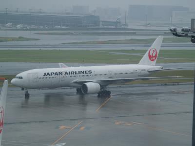 Photo of aircraft JA008D operated by Japan Airlines
