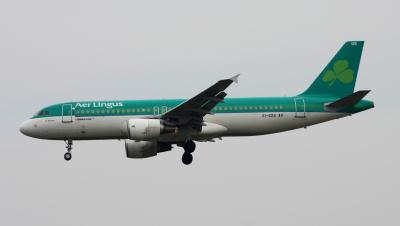 Photo of aircraft EI-EDS operated by Aer Lingus