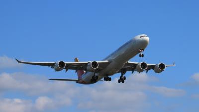 Image of aircraft registration EC-JFX - A A340-642 operated by Iberia