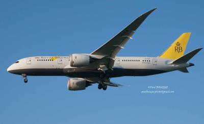 Image of aircraft registration V8-DLB - A 787-8 Dreamliner operated by Royal Brunei Airlines