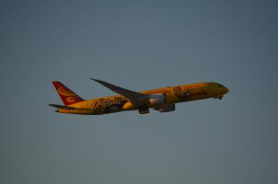 Photo of aircraft B-7302 operated by Hainan Airlines