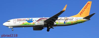 Image of aircraft registration TC-CPN - A 737-82R(WL) operated by Pegasus