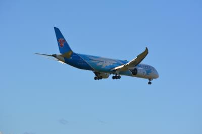 Image of aircraft registration B-1128 - A 787-9 Dreamliner operated by China Southern Airlines