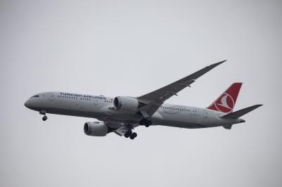 Photo of aircraft TC-LLG operated by Turkish Airlines