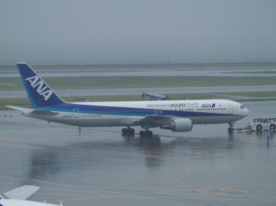 Photo of aircraft JA8677 operated by ANA All Nippon Airways