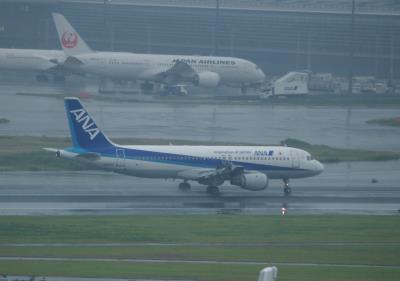 Photo of aircraft JA8313 operated by All Nippon Airways
