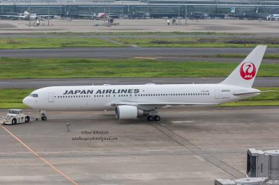 Photo of aircraft JA659J operated by Japan Airlines