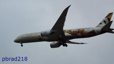 Photo of aircraft A6-BLT operated by Etihad Airways