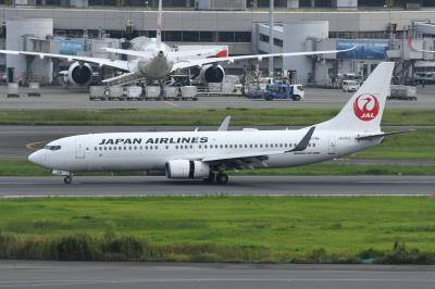 Photo of aircraft JA331J operated by Japan Airlines