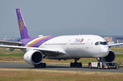 Photo of aircraft HS-THF operated by Thai Airways International