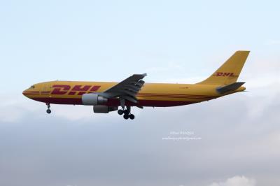 Image of aircraft registration D-AZMO - A A300F4-622R operated by EAT Leipzig