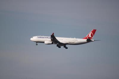 Photo of aircraft TC-LOC operated by Turkish Airlines