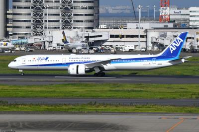 Photo of aircraft JA981A operated by ANA All Nippon Airways