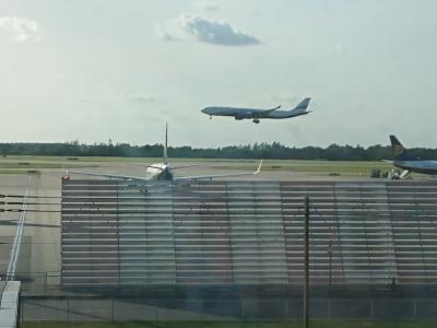 Image of aircraft registration CS-TFX - A A340-500 operated by Hi Fly