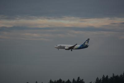 Image of aircraft registration N622AS - A 737-790(WL) operated by Alaska Airlines