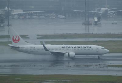Photo of aircraft JA347J operated by Japan Airlines
