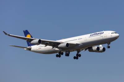 Image of aircraft registration D-AIFD - A A340-313 operated by Lufthansa