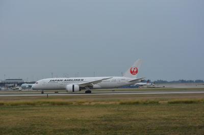 Photo of aircraft JA832J operated by Japan Airlines