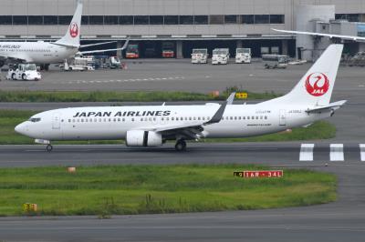 Photo of aircraft JA308J operated by Japan Airlines