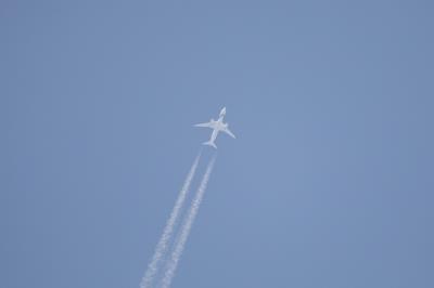 Photo of aircraft 4X-EDM operated by El Al Israel Airlines