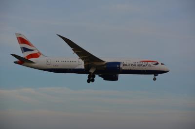 Image of aircraft registration G-ZBJD - A 787-8 Dreamliner operated by British Airways