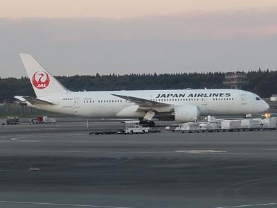 Image of aircraft registration JA824J - A 787-8 Dreamliner operated by Japan Airlines