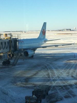 Photo of aircraft C-FLSU operated by Air Canada