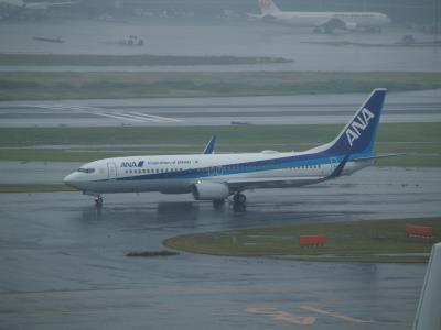 Photo of aircraft JA57AN operated by All Nippon Airways