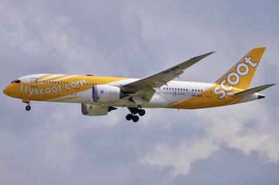 Photo of aircraft 9V-OFK operated by Scoot